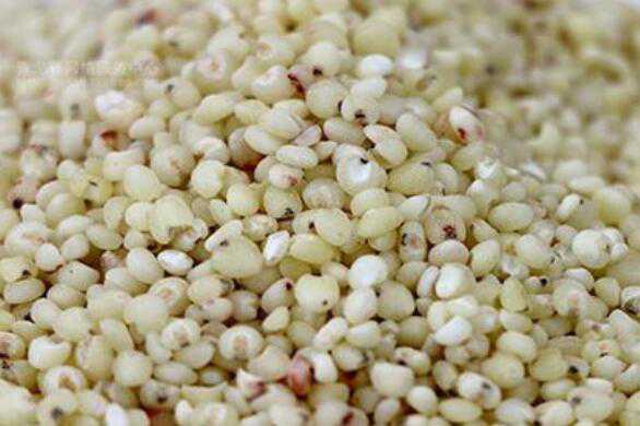 秫米与高粱米的区别，吃秫米的好处（秫米与高粱米的区别,吃秫米的好处是什么）