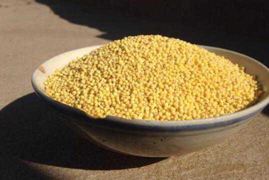糜子和黄米的区别，吃黄米的好处 糜子与黄米的区别