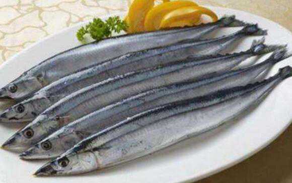 刀鱼和带鱼的区别，吃刀鱼的好处 刀鱼与带鱼的区别哪个好吃