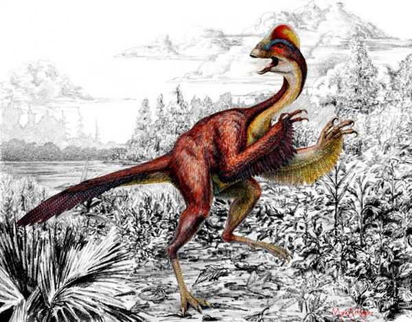 明明是恐龙，凭啥却被叫做鸡 明明是恐龙,凭啥却被叫做鸡呢