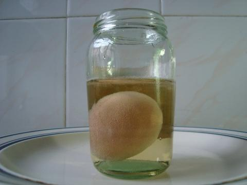 醋蛋液的功效与作用及做法 醋蛋液的做法与功效与作用