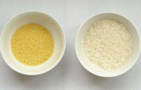 大米和小米的区别（大米和小米的区别是什么）