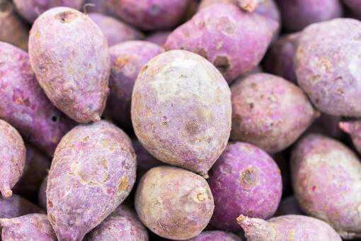 紫薯的功效与作用有哪些 紫薯的功效是什么?