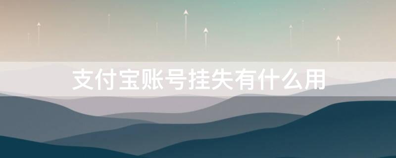 支付宝账号挂失有什么用