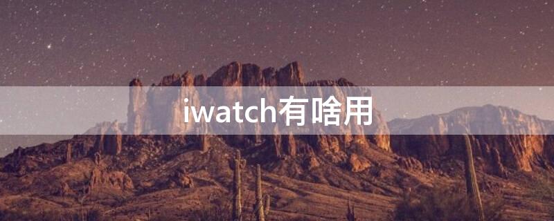 iwatch有啥用