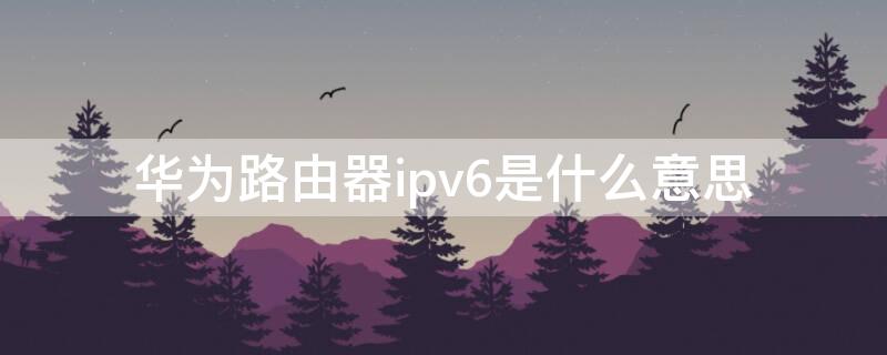 华为路由器ipv6是什么意思