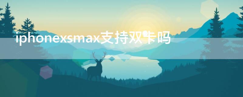 iPhonexsmax支持双卡吗