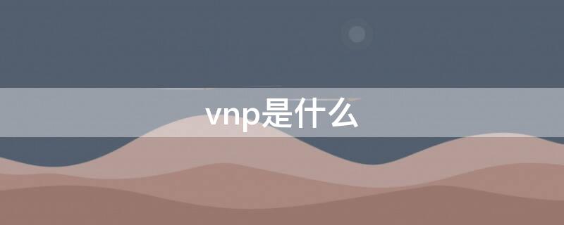 vnp是什么