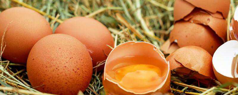 国内鸡蛋可以生吃吗 为什么国内的鸡蛋不能生吃 国外的可以