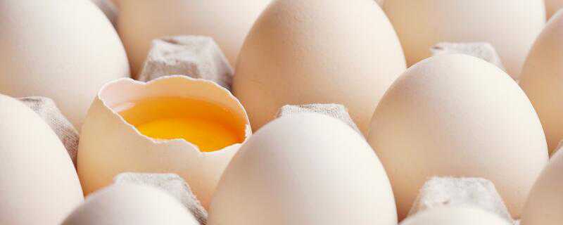 鸡蛋壳能吃吗 鸡蛋壳能吃吗吃多了好不好