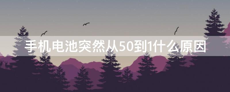 手机电池突然从50到1什么原因