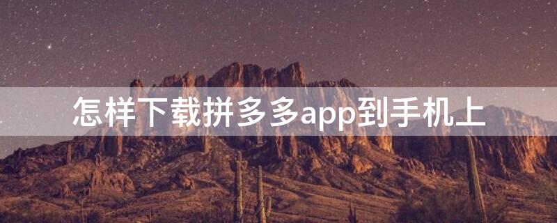 怎样下载拼多多app到手机上