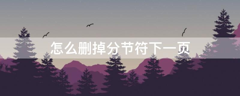 怎么删掉分节符下一页