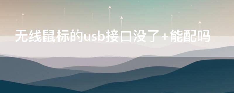 无线鼠标的usb接口没了 能配吗