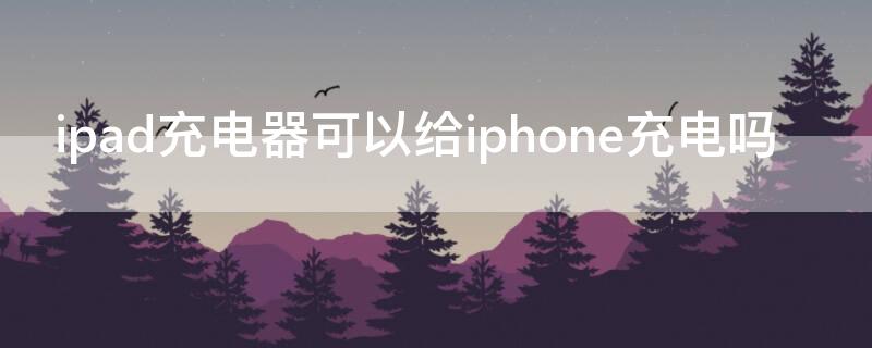 ipad充电器可以给iPhone充电吗