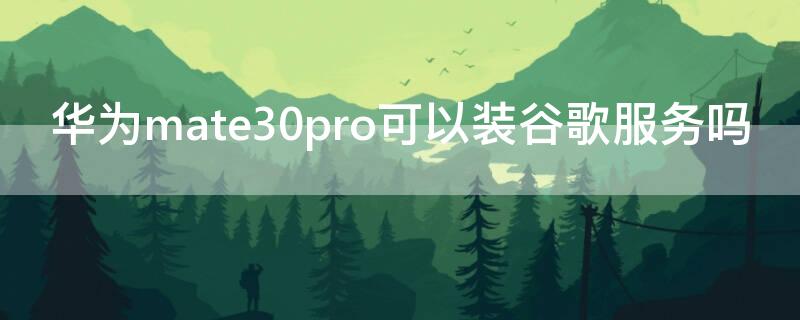 华为mate30pro可以装谷歌服务吗