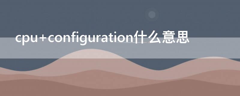 cpu configuration什么意思