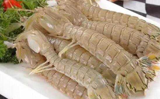 皮皮虾价格多少一斤 皮皮虾价格多少一斤2020