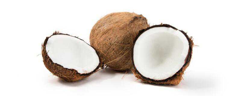 椰子是什么季节的水果（椰子是什么季节的水果?）