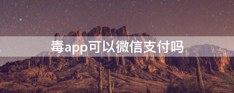 毒app可以微信支付吗