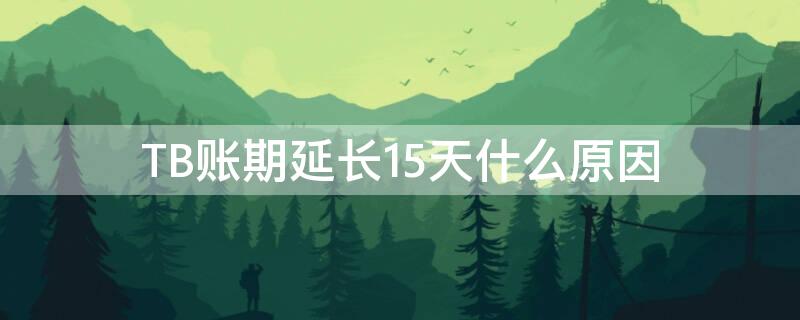 TB账期延长15天什么原因