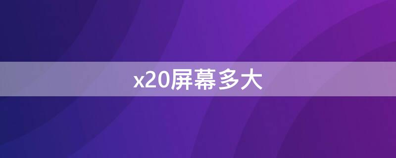 x20屏幕多大