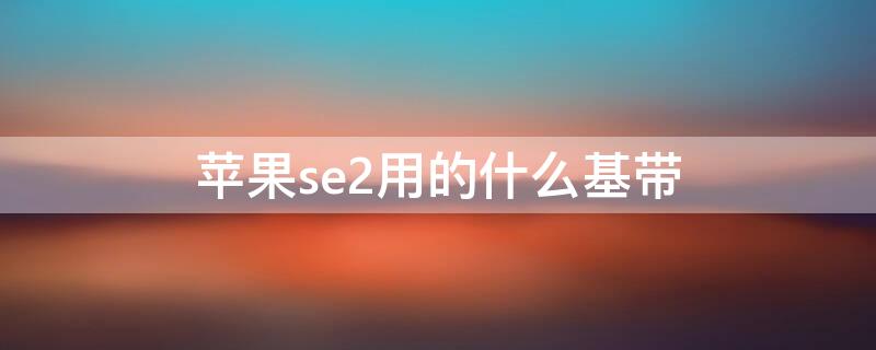 iPhonese2用的什么基带