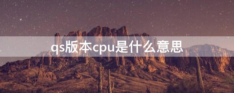 qs版本cpu是什么意思