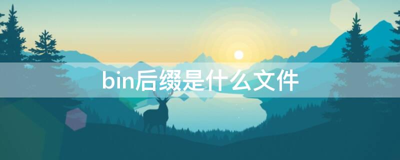 bin后缀是什么文件