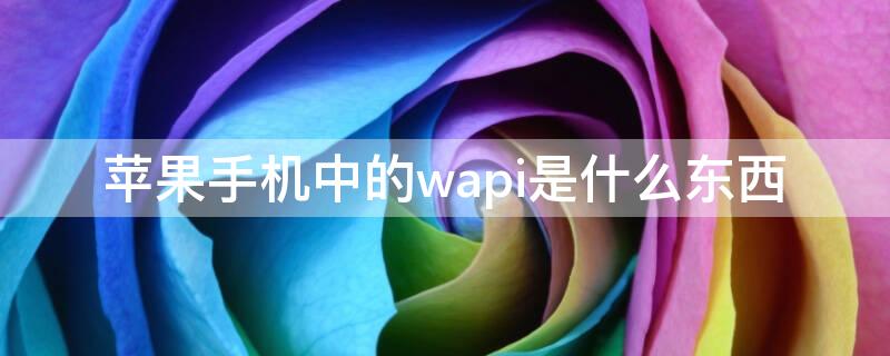 iPhone手机中的wapi是什么东西