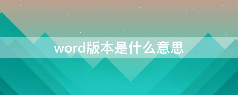 word版本是什么意思