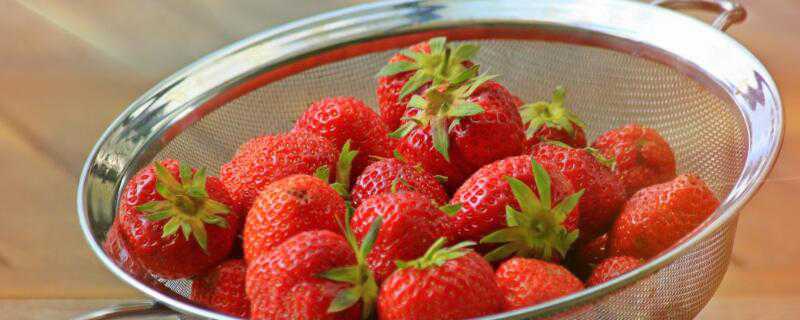草莓园如何选择 怎样选择草莓