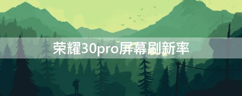 荣耀30pro屏幕刷新率