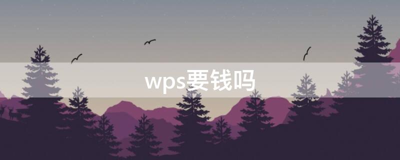 wps要钱吗