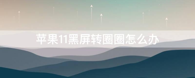 iPhone11黑屏转圈圈怎么办