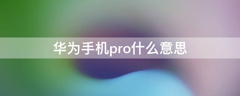 华为手机pro什么意思