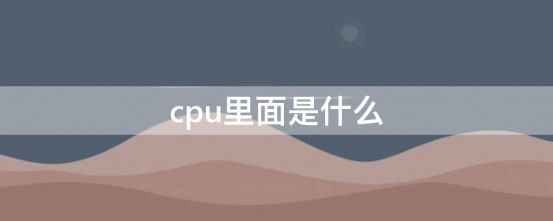 cpu里面是什么