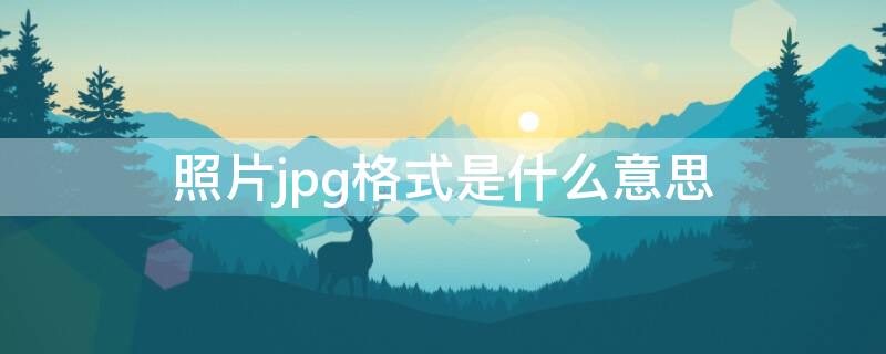 照片jpg格式是什么意思