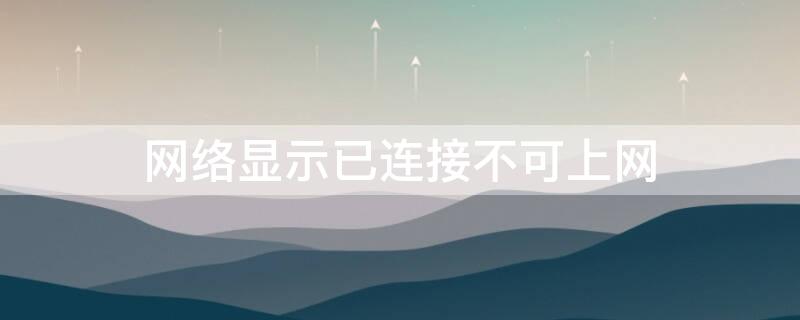 网络显示已连接不可上网