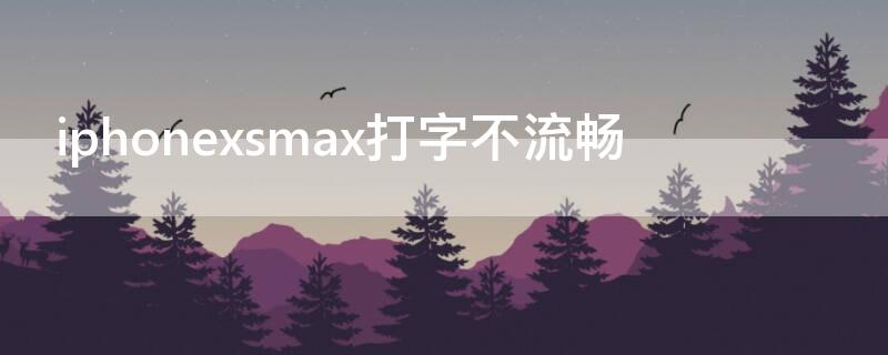 iPhonexsmax打字不流畅