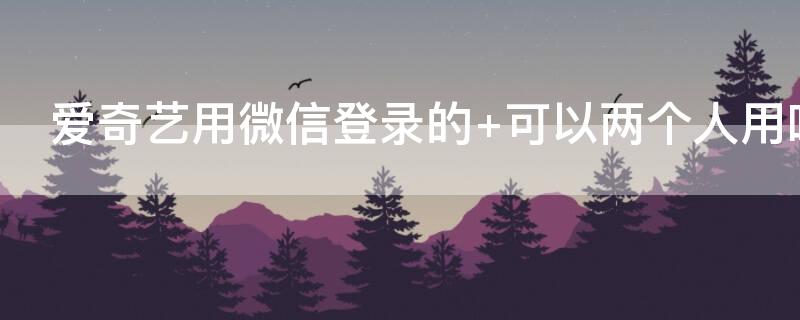 爱奇艺用微信登录的 可以两个人用吗