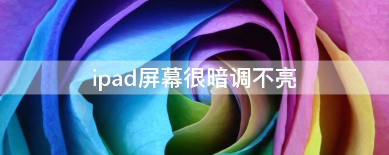 ipad屏幕很暗调不亮