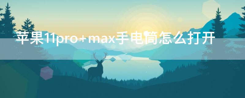 iPhone11pro max手电筒怎么打开