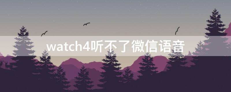 watch4听不了微信语音