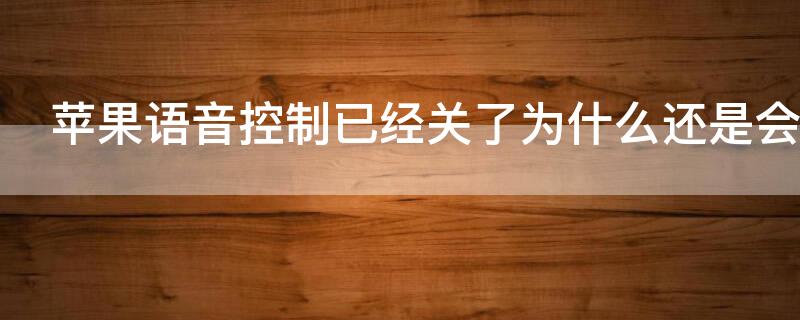 iPhone语音控制已经关了为什么还是会出来