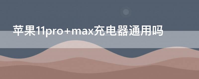 iPhone11pro max充电器通用吗