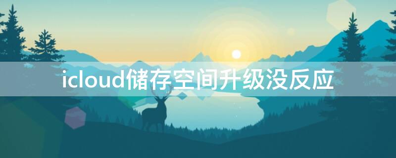 icloud储存空间升级没反应