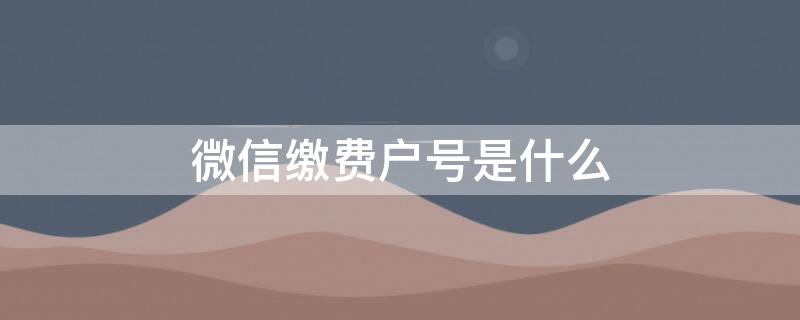 微信缴费户号是什么