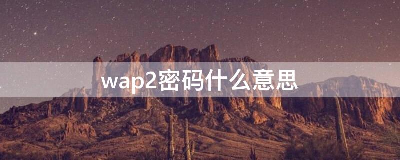 wap2密码什么意思