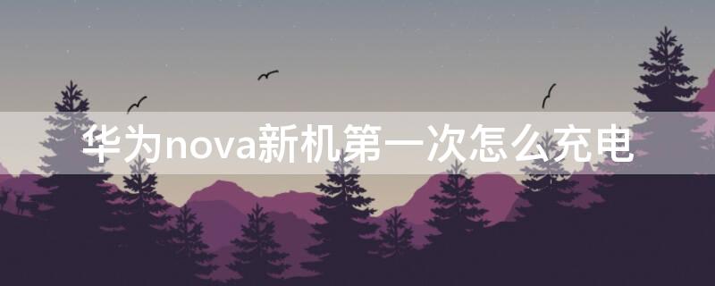 华为nova新机第一次怎么充电